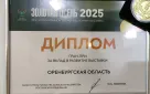 Оренбуржье получило Гран-при выставки «Золотая осень – 2025» и завоевало 35 медалей