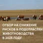Объявление о проведении отбора на снижение рисков в подотраслях животноводства в 2025 году